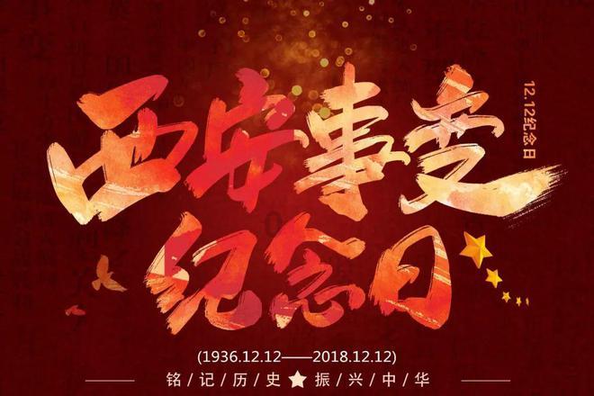 全国热度第一,杨紫令观众成功入坑,都市剧有天花板